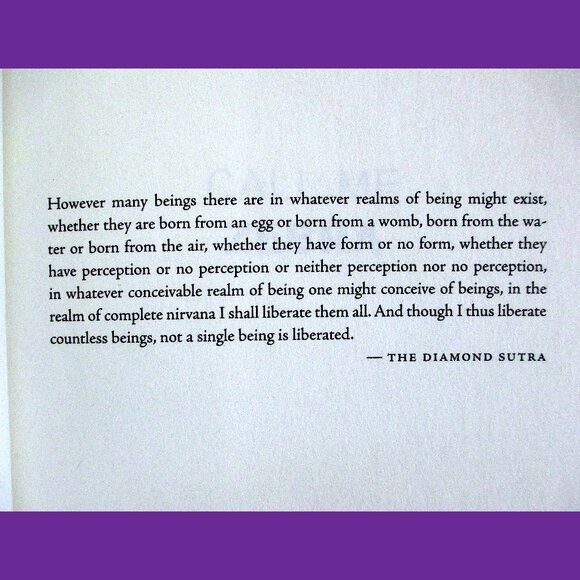 Book - Call Me Zebra: A Novel, by Azareen Van der Vliet Oloomi - Picture 3 of 14